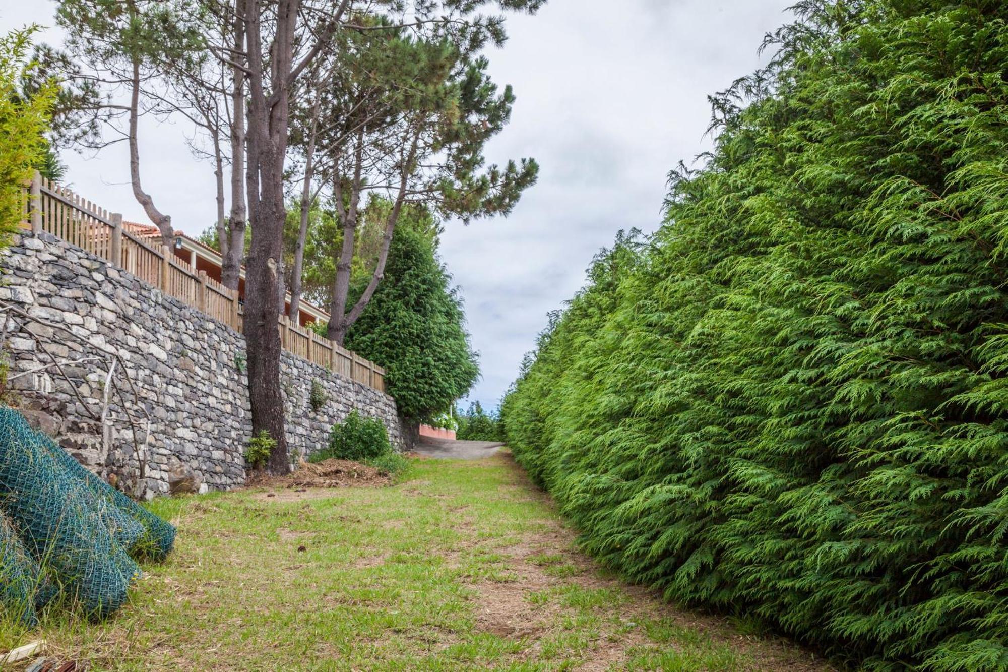 Quinta Do Santo By Lovelystay Santo Antonio da Serra 外观 照片